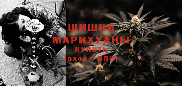 ECSTASY Богородицк